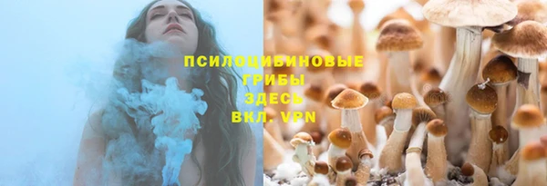 прущие крисы Баксан