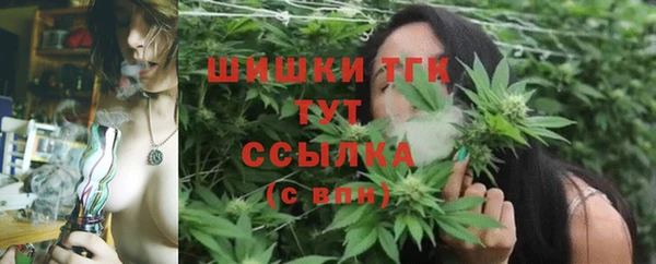 прущие крисы Баксан