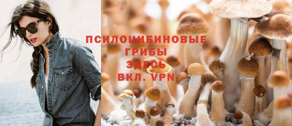 прущие крисы Баксан